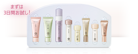 �����������Z�b�g�̂��\����