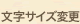 �����T�C�Y�ύX