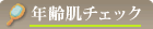 �N�(����,����,�������j�̃T�C��