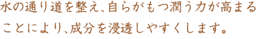 ���̒ʂ蓹�𐮂��A���炪�������͂����߂邱�Ƃɂ��A�h�{��Z�����₷�����܂��B