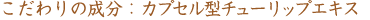 �������̐����F�J�v�Z���^�`���[���b�v�G�L�X