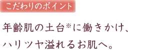 [�������̃|�C���g]�N��̓y��ɓ��������A�n���c�����邨���ցB