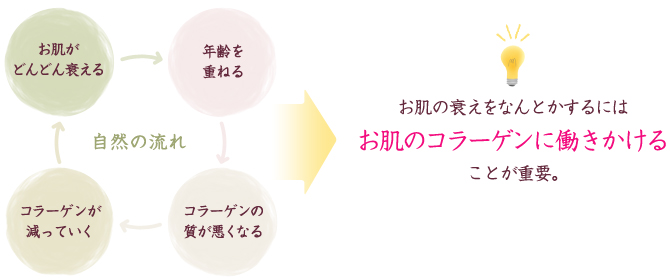 お肌の衰えをなんとかするには、お肌のコラーゲンに働きかけることが重要。