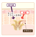 生まれ変わる力の衰え