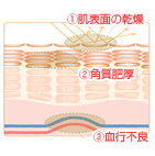 巡る力の衰え