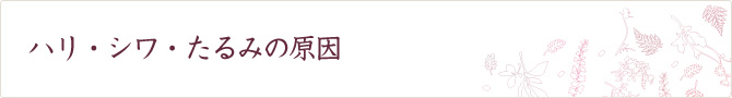 ハリ・シワ・たるみの原因