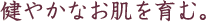 ���₩�Ȃ�������ށB