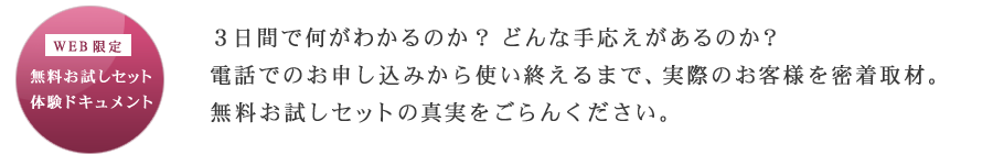 Web����@�����������Z�b�g�̌��h�L�������g�@3���Ԃŉ����킩��̂��H�ǂ�Ȏ艞��������̂��H�d�b�ł̂��\�����݂���g���I����܂ŁA���ۂ̂��q�l�𖧒���ށB�����������Z�b�g�̐^��������񂭂������B