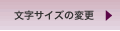 �����T�C�Y�̕ύX