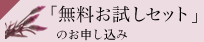 �u�����������Z�b�g�v�̂��\������