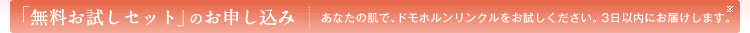 �u�����������Z�b�g�v�̂��\������