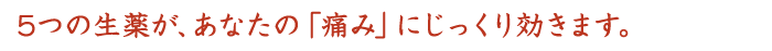 5�̐��򂪁A���Ȃ��́u�ɂ݁v�ɂ�����������܂��B
