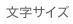 �����T�C�Y