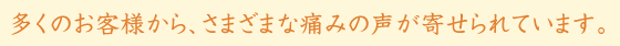 �����̂��q�l����A���܂��܂Ȓɂ݂̐����񂹂��Ă��܂��B