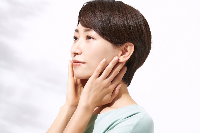 基底膜の構造を詳しく解説