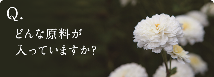 ǂȌĂ܂H