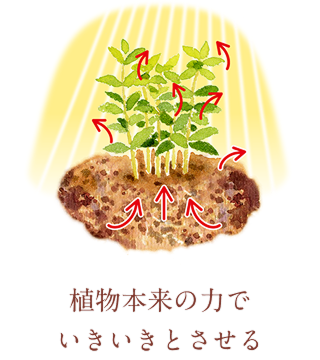 �������G�L�X