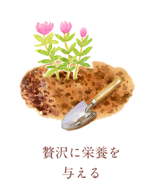 �N���[��20