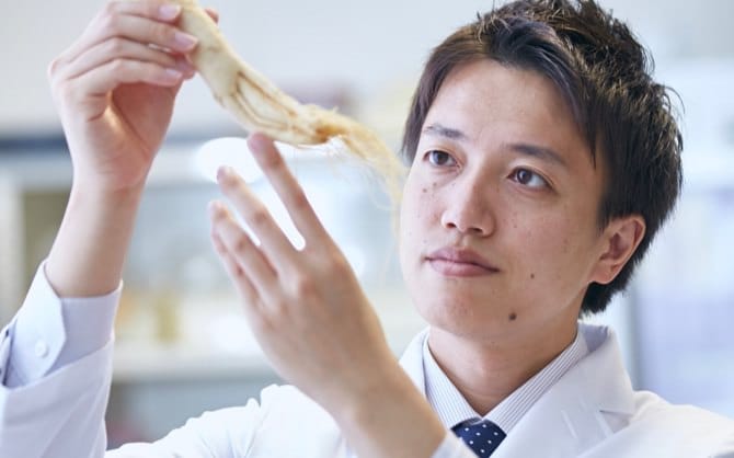 公式】ドモホルンリンクル｜再春館製薬所