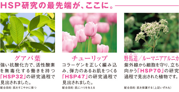 HSPに関わる原料