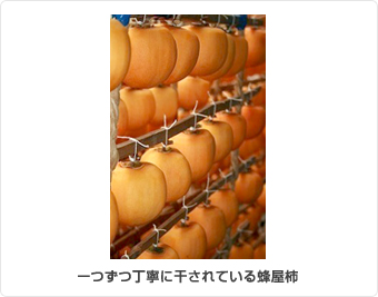 一つずつ丁寧に干されている蜂屋柿