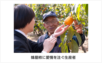 蜂屋柿に愛情を注ぐ生産者