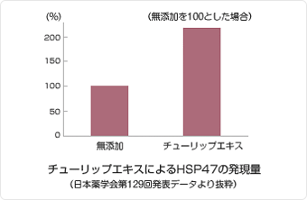 チューリップエキスによるHSP47(ヒートショックプロテイン47)の発現量