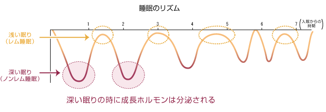 深い眠りの時に成長ホルモンは分泌される