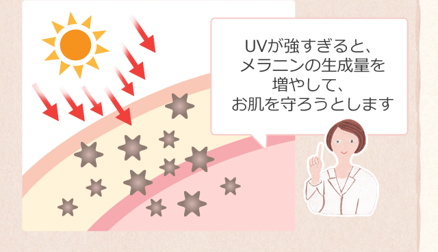 UVが強すぎると、メラニンの生成量を増やして、お肌を守ろうとします