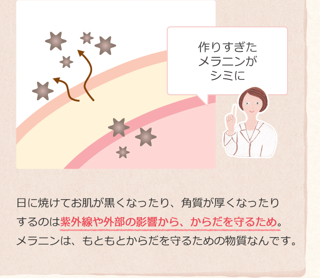 作りすぎたメラニンがシミに 日に焼けてお肌が黒くなったり、角質が厚くなったりするのは紫外線や外部の影響から、からだを守るため。メラニンは、もともとからだを守るための物質なんです。