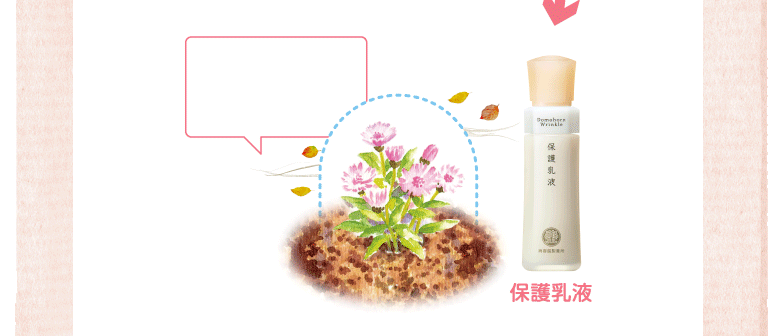 保護乳液