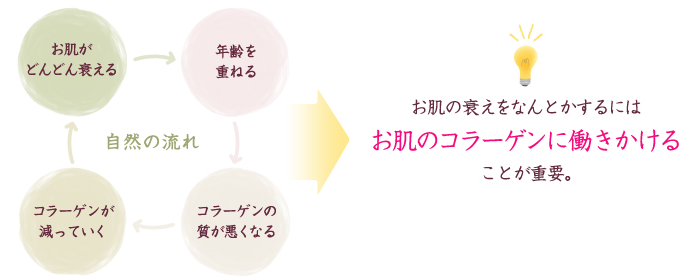 お肌の衰えをなんとかするにはお肌のコラーゲンに働きかけることが重要。