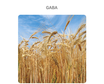 GABA