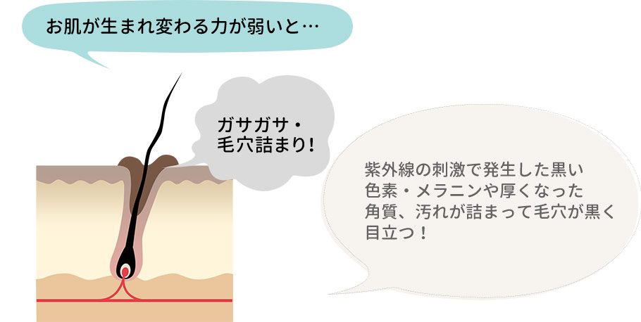 お肌が生まれ変わる力が弱いと…