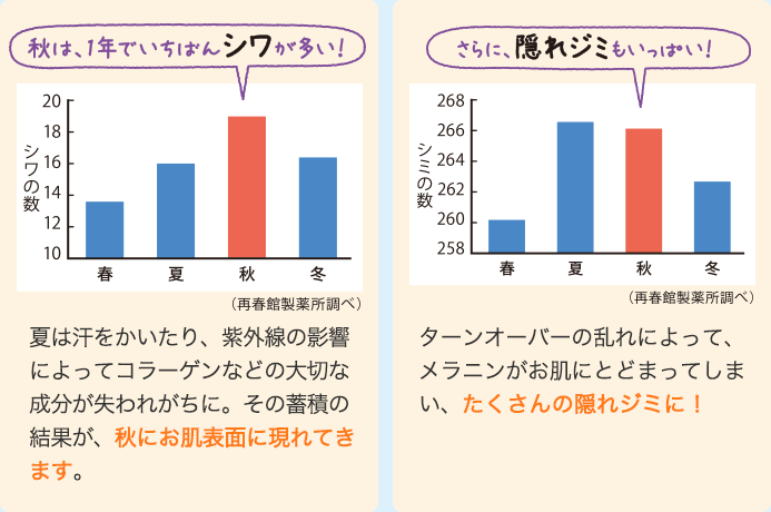 比較図