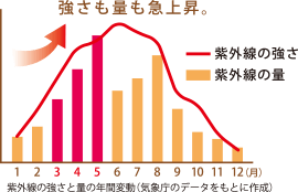 紫外線のグラフ