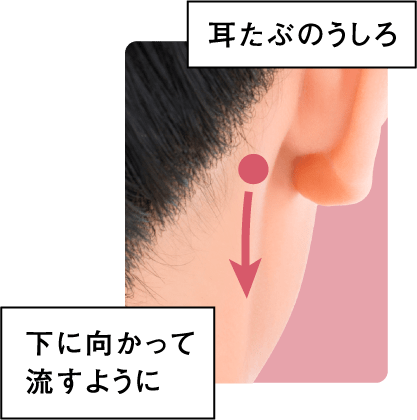 耳たぶのうしろ 下に向かって流すように