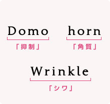 Domo＝抑制 horn＝角質 Wrinkle＝シワ