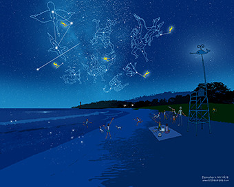 2011年7月「海辺の星座観察」