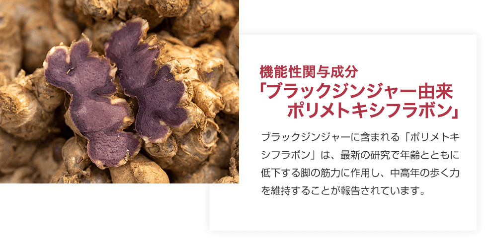 機能性関与成分 「ブラックジンジャー由来ポリメトキシフラボン」 ブラックジンジャーに含まれる「ポリメトキシフラボン」は、最新の研究で年齢とともに低下する脚の筋力に作用し、中高年の歩く力を維持することが報告されています。