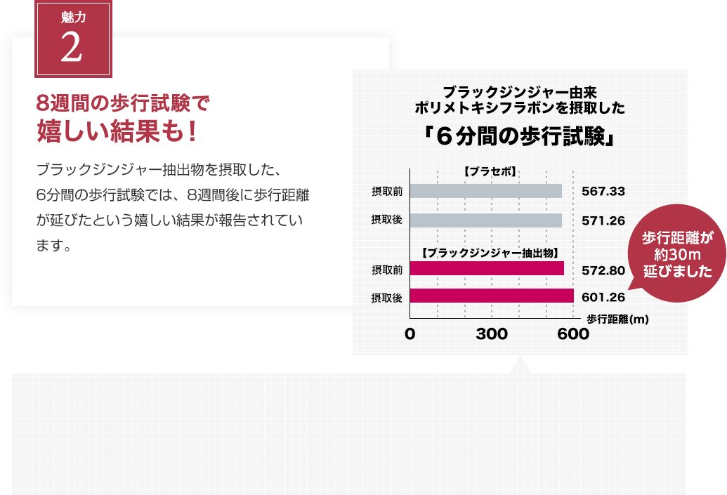 REASON2 8週間の歩行試験で 嬉しい結果も! ブラックジンジャー抽出物を摂取した、6分間の歩行試験では、8週間後に歩行距離が延びたという嬉しい結果が報告されています。