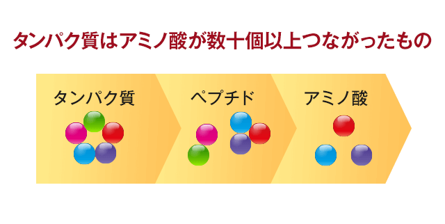 「アミノ酸」の画像検索結果