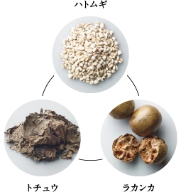 �n�g���M�E�g�`���E�E���J���J�̉摜