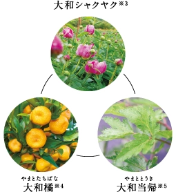 ��a�V���N���N�E��a�k�E��a���A�̉摜