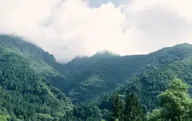 ����˂̎R�̉摜