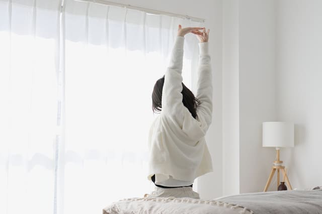 朝の光の中でストレッチをする女性の後ろ姿