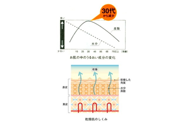 自信のない日々にさよなら。 年齢を重ねたお肌（年齢肌）のお悩みの原因と気をつけたい3つの習慣｜お役立ちコラム｜基礎化粧品ドモホルンリンクル