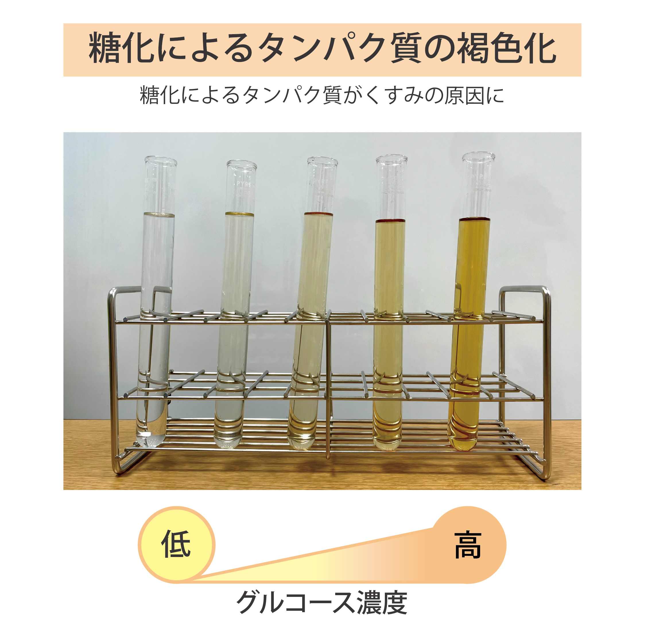 お肌の老化を誘発する「糖化」の原因・対策や血糖値との関係を解説｜お役立ちコラム｜基礎化粧品ドモホルンリンクル