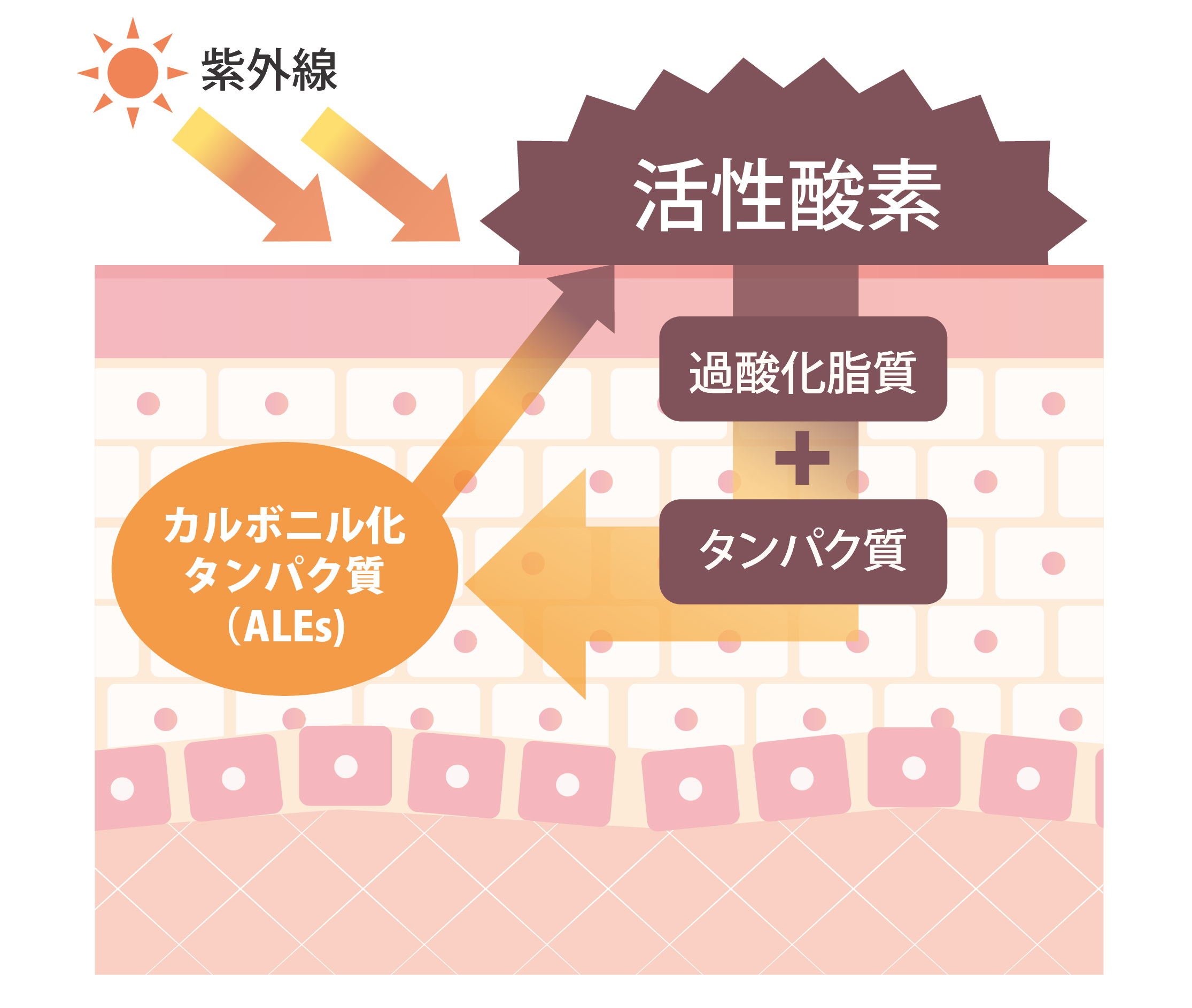 �������݂̃��J�j�Y��