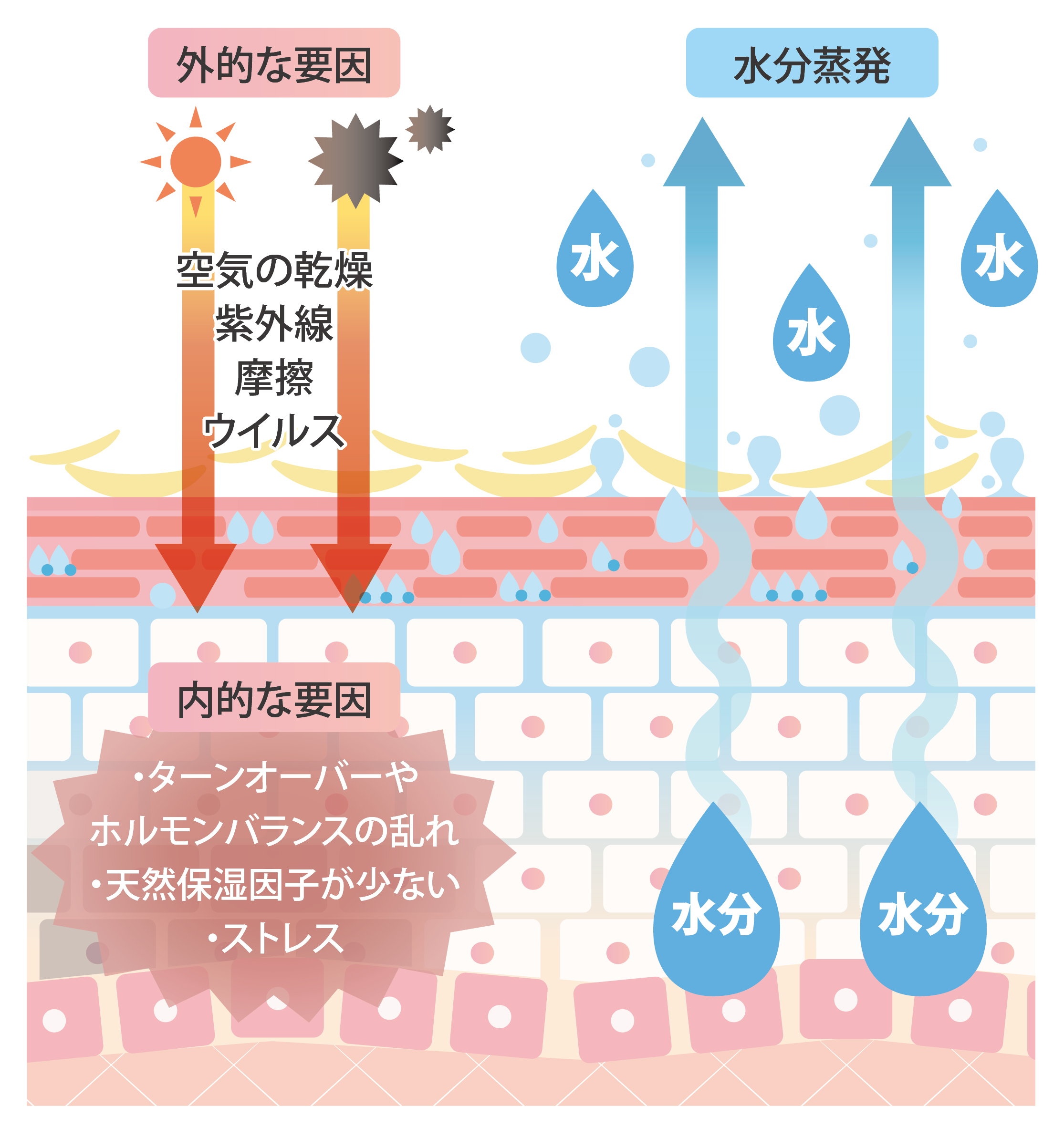 ���o���A�@�\���_���[�W���󂯂�v��